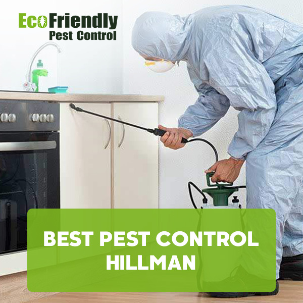 Pest Control Hillman