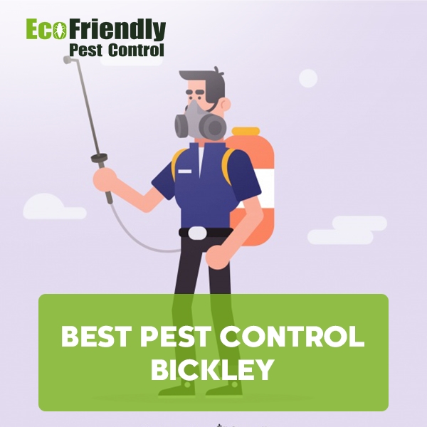 Best Pest Control Bickley