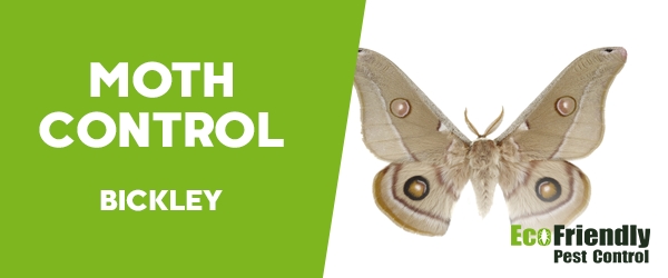 Moth Control Bickley