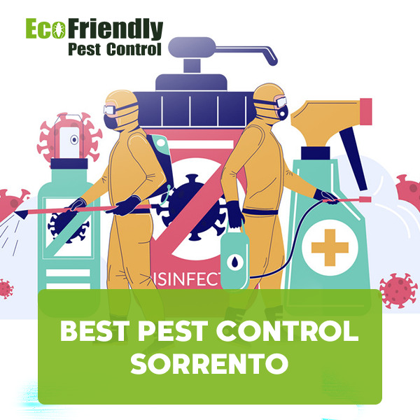 Best Pest Control Sorrento  