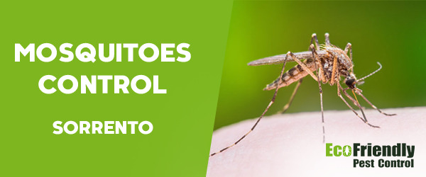 Mosquitoes Control Sorrento  