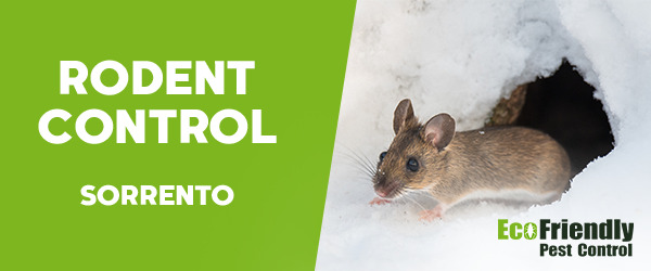 Rodent Treatment Sorrento  