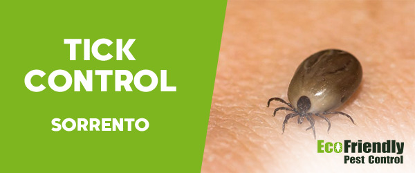 Ticks Control Sorrento  