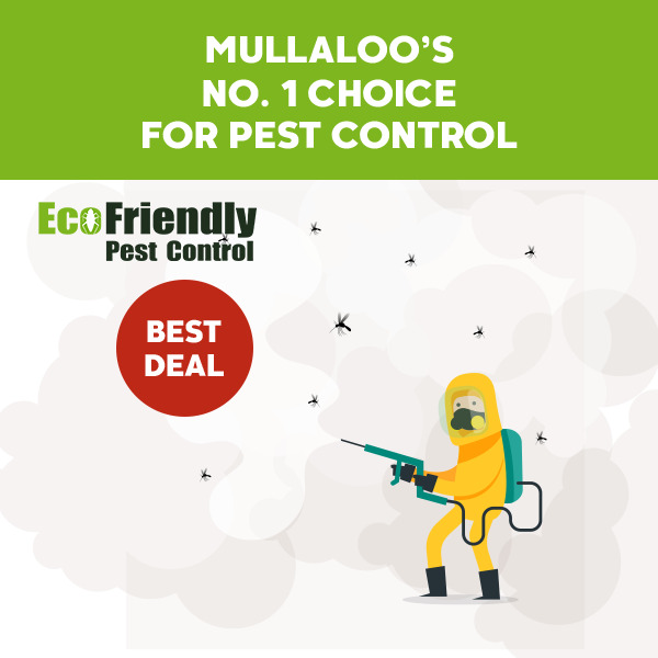 Pest Control Mullaloo