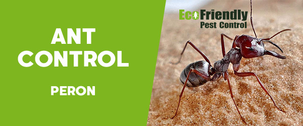 Pest Control Peron