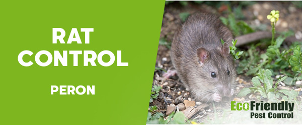 Pest Control Peron