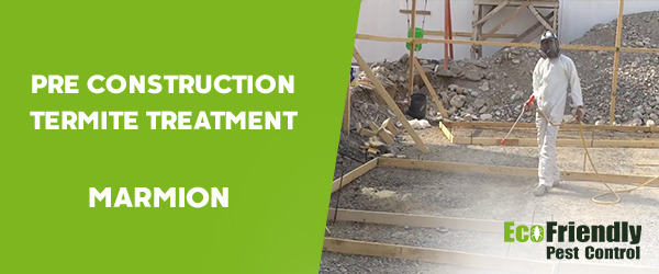 Pre Construction Termite Treatment Marmion