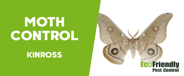 Moth Control Kinross