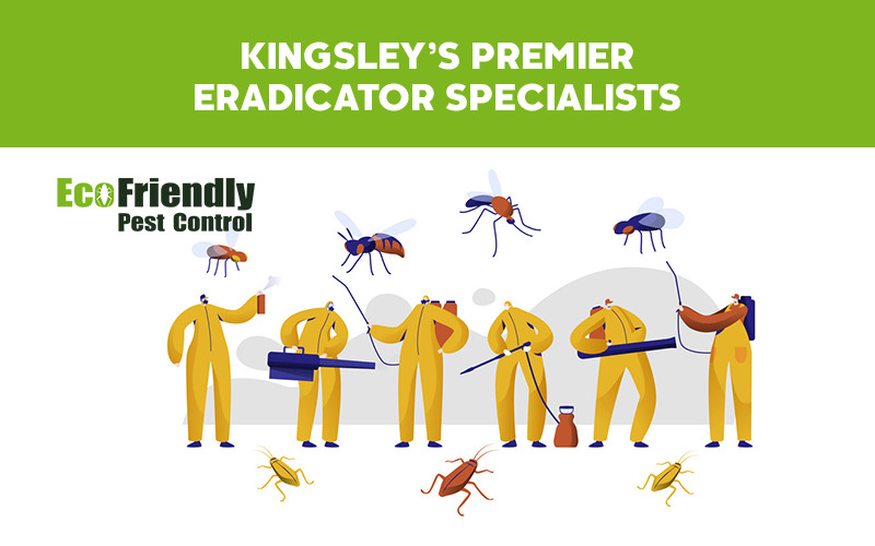 Pest Control Kingsley