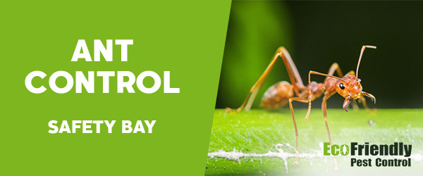 Ant Control Safety Bay