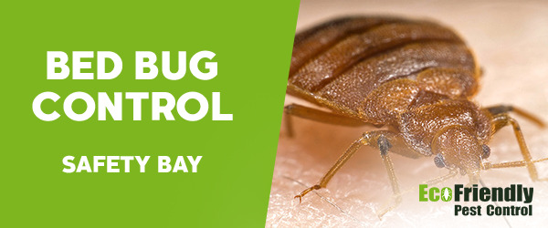 Bed Bug Control Safety Bay