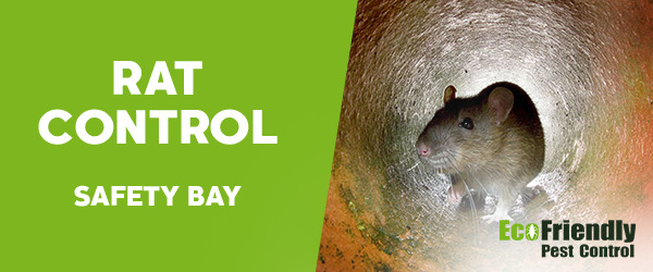 Rat Pest Control Safety Bay