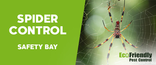 Spider Control Safety Bay