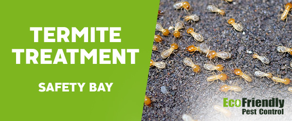 Termite Control Safety Bay