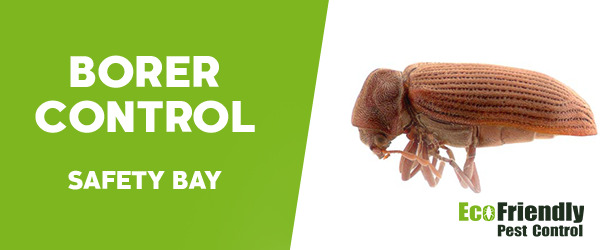 Borer Control Safety Bay