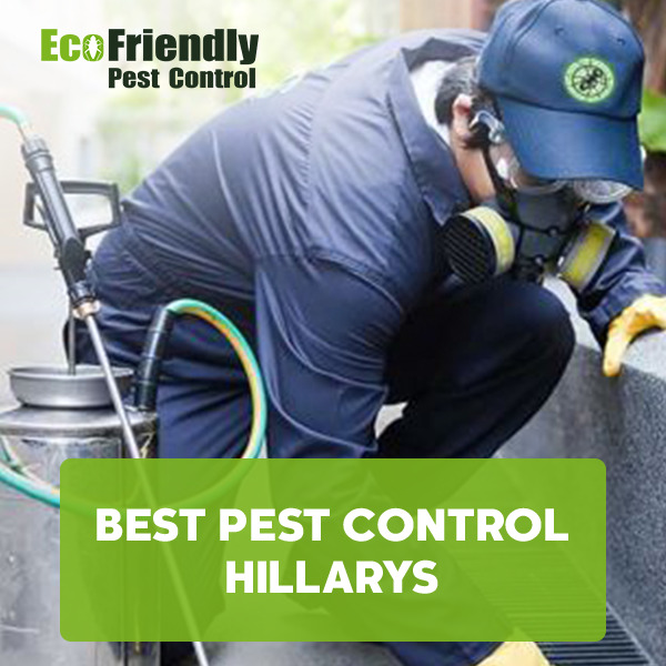 Best Pest Control Hillarys