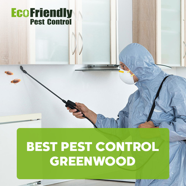 Best Pest Control Greenwood