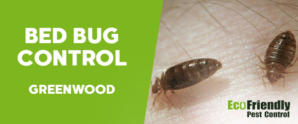 Bed Bug Control Greenwood