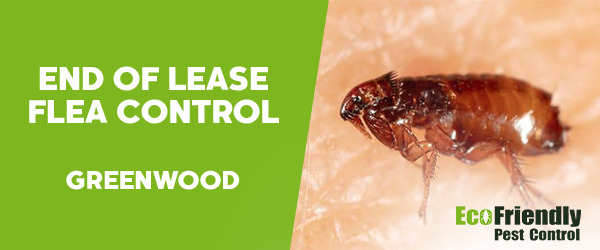 End of Lease Flea Control Greenwood