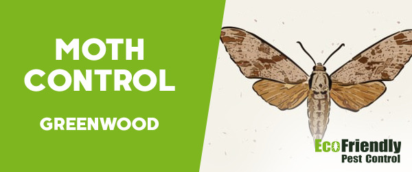 Moth Control Greenwood