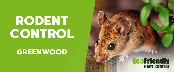 Rodent Treatment Greenwood