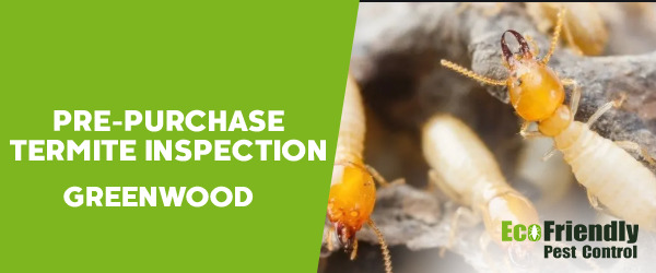 Pre-purchase Termite Inspection Greenwood