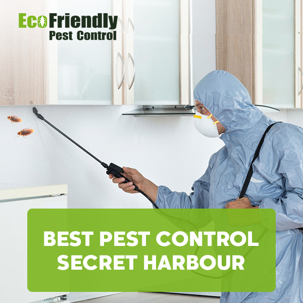 Pest Control Secret Harbour