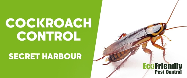 Pest Control Secret Harbour