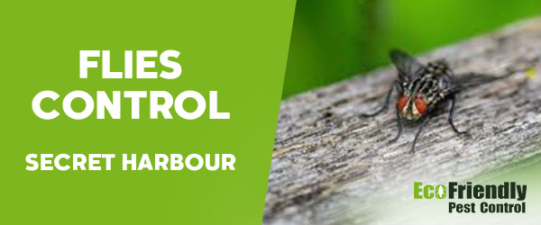 Pest Control Secret Harbour