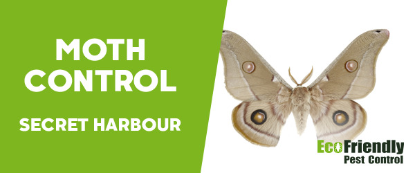 Pest Control Secret Harbour
