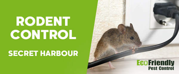 Pest Control Secret Harbour