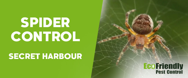 Pest Control Secret Harbour