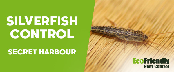 Pest Control Secret Harbour