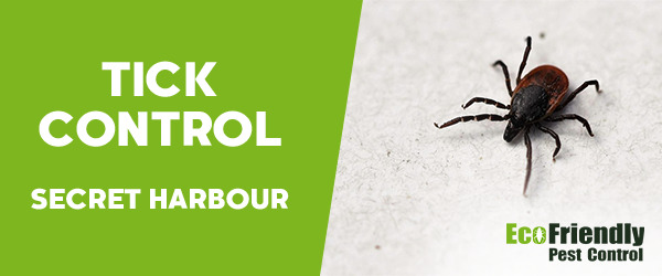 Pest Control Secret Harbour