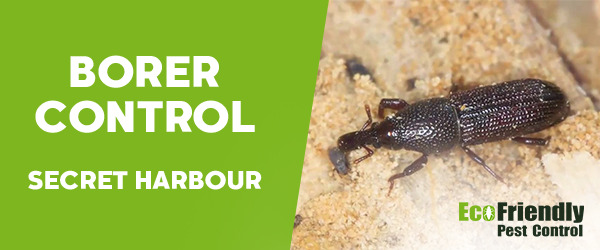 Pest Control Secret Harbour