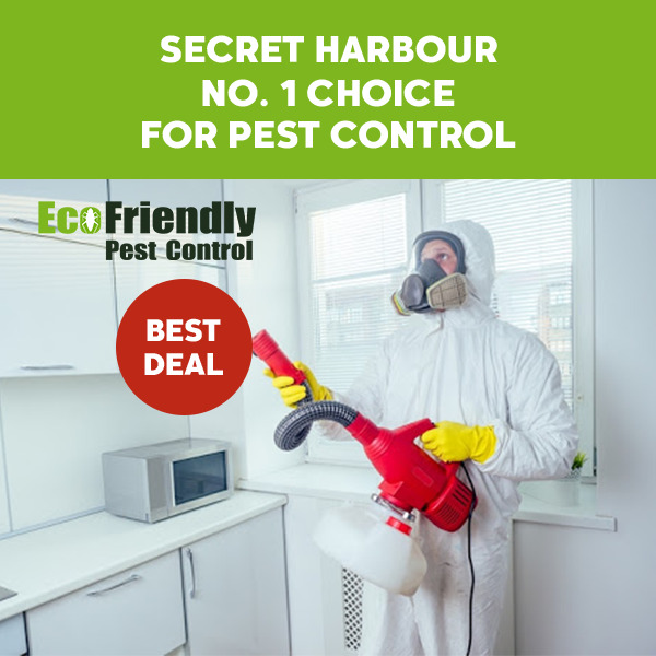 Pest Control Secret Harbour