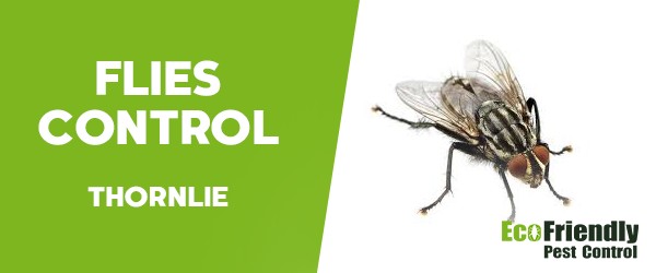 Pest Control Thornlie