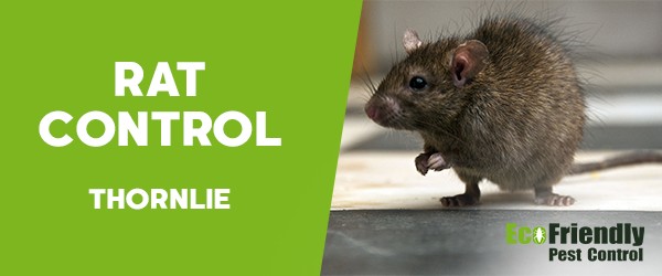 Pest Control Thornlie