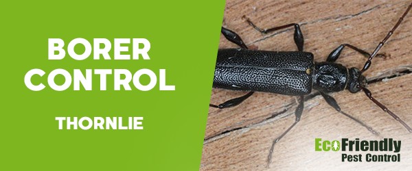 Pest Control Thornlie