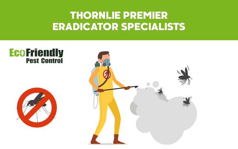 Pest Control Thornlie