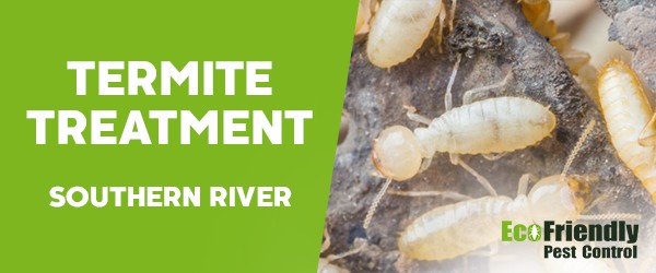 Termite Control Southern River