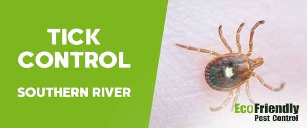 Ticks Control Southern River