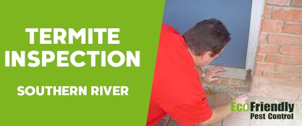 Termite Inspection Southern River