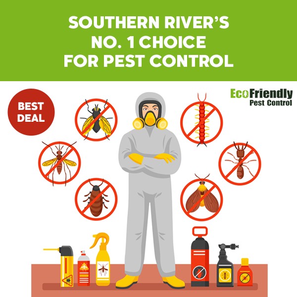 Pest Control Southern River