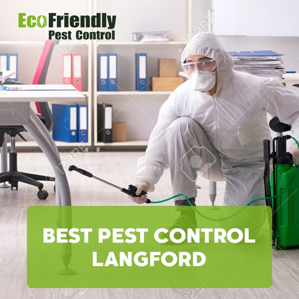 Best Pest Control  Langford