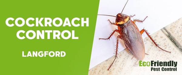 Cockroach Control  Langford 