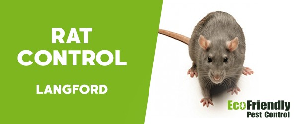 Rat Pest Control  Langford