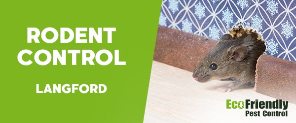 Rodent Treatment  Langford