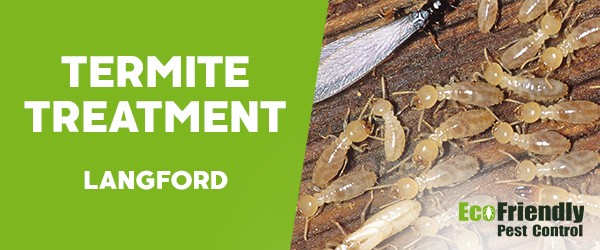 Termite Control  Langford