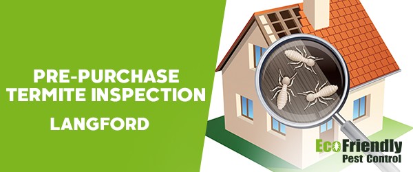 Pre-purchase Termite Inspection  Langford